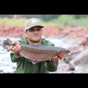 Meet your Posher, Collin